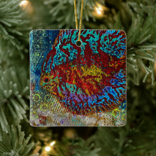 Discus Fish Ornament