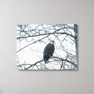 Disgruntled Canvas Print