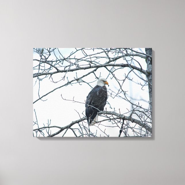 Disgruntled Canvas Print (Front)