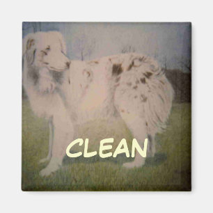 Dish Washer Status Magnet