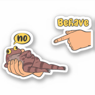 Dishonest Frog Funny Frog Meme Behave No Cartoon