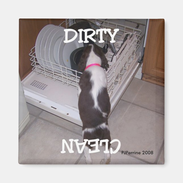 Dishwasher Magnet (Front)