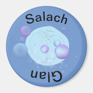 Dishwasher magnet