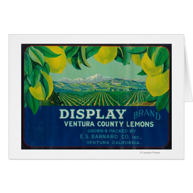 Display Lemon LabelVentura, CA (Front Horizontal)