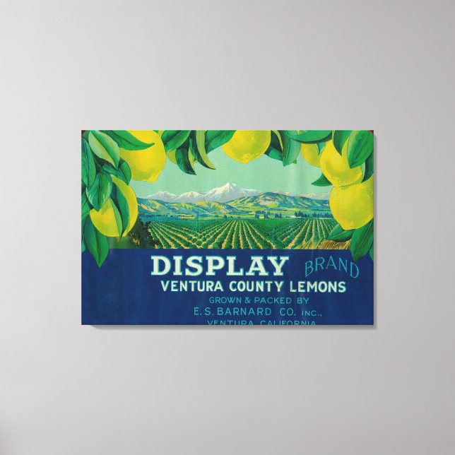 Display Lemon LabelVentura, CA Canvas Print (Front)