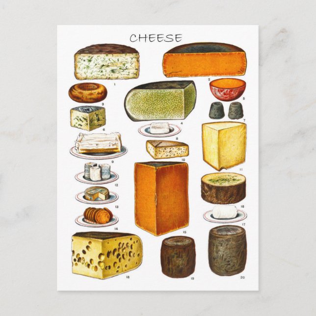 Display of Types of Cheese Postcard (Front)