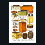 Display of Types of Cheese Poster<br><div class="desc">Vintage illustration of various cheese; Gorgonzola,  Double Gloucester,  Koboko,  Parmesan,  Dutch,  Roquefort,  Schabzieger,  Dunragit,  York Cream,  Port du Salut,  Cheddar,  Pommel,  Camembert,  Mainzer,  Cheshire,  Stilton,  Cream Bondon,  Gruyère,  Wiltshire Loaf,  Cheddar Loaf.</div>