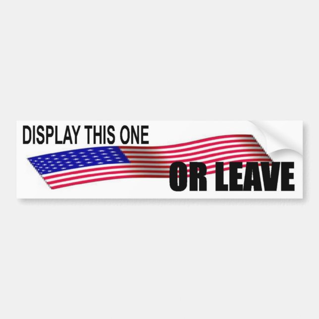 DISPLAY THIS ONE OR LEAVE-5 BUMPER STICKER (Front)