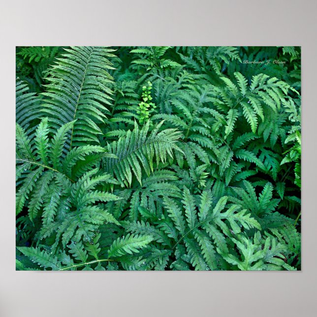 Distance: Canvas—flat Poster (Front)