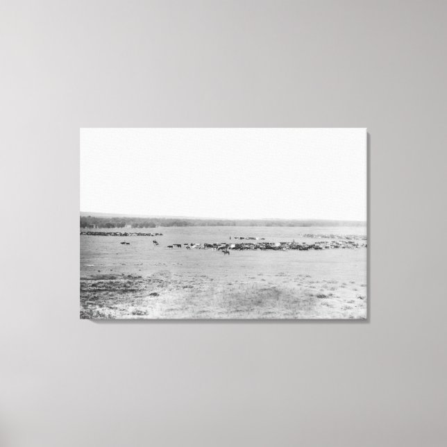 Distant View of Cowboys with Cattle Herds Canvas Print (Front)