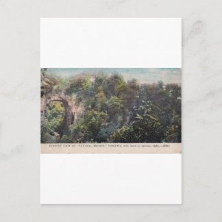 Distant View of "Natural Bridge," Virginia Postcard