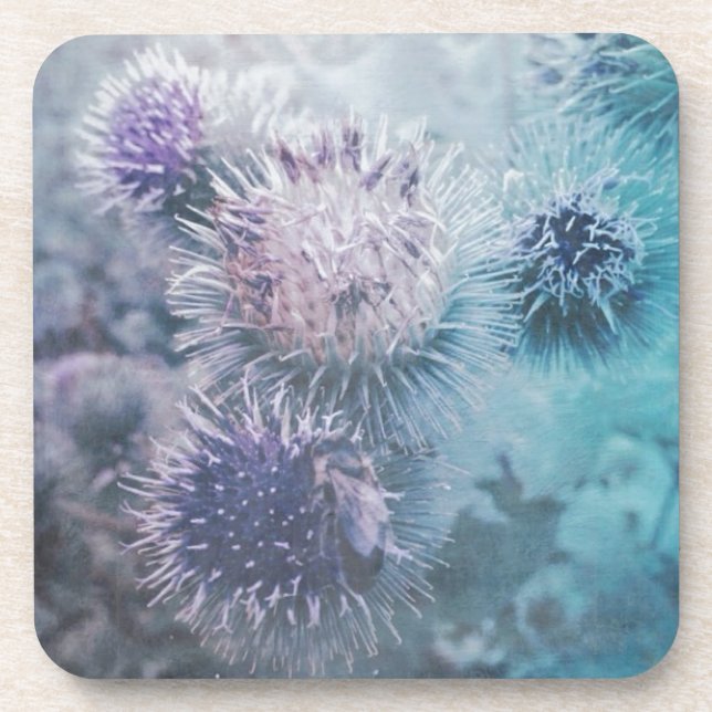 Distelblüten Coaster (Front)