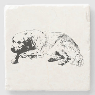 Distinct Form Sets Gathering Scene Stone Coaster