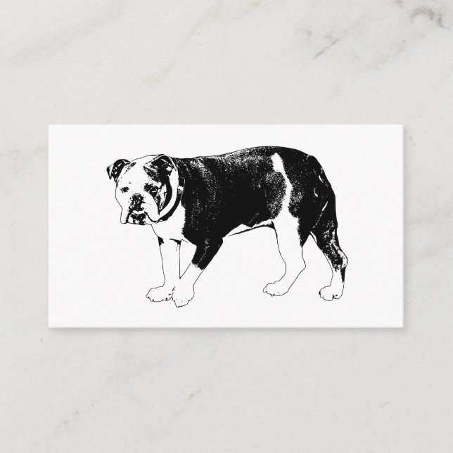 Distinct Intro, Bulldog Confidence Business Card (Front)