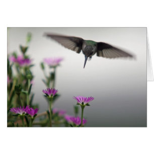 Distinctive Hummingbird Card