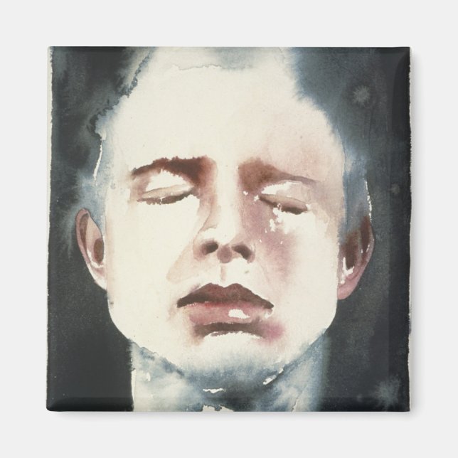 Distinguishing Marks 4 Magnet (Front)