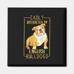 Distracted By English Bulldogs – Cute English Bull Magnet
