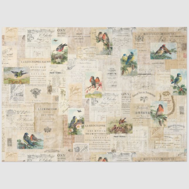 Distressed Birds & Document Ephemera Tissue Paper (Front)