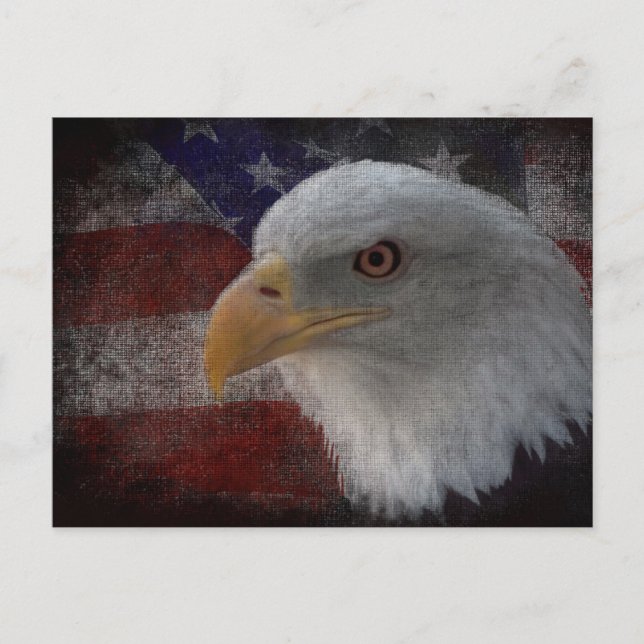 Distressed Eagle And Flag Postcard (Front)