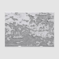 Distressed Grunge Light Grey Paint Loft DIY Decor 