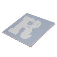 Distressed R pattern industrial kitchen bathroom