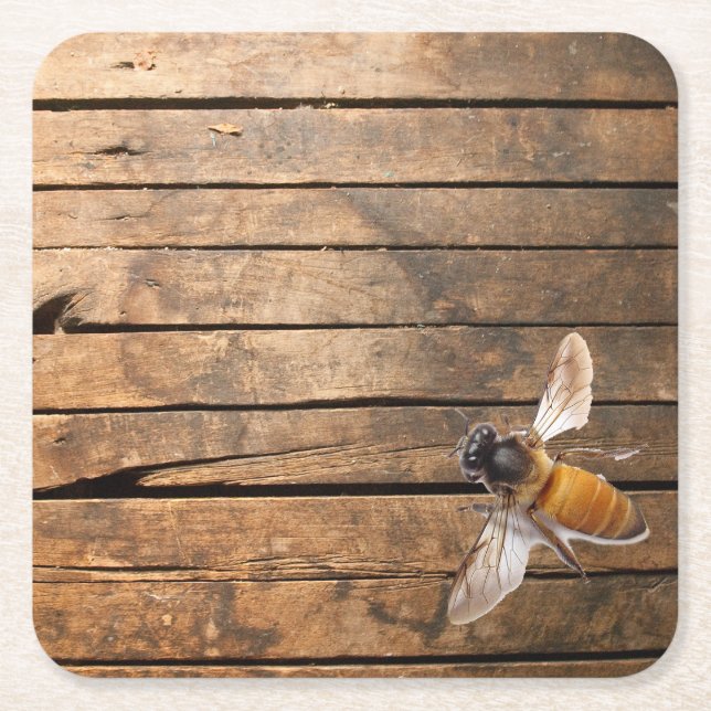 Distressed rustic barn wood cute honeybee square paper coaster (Front)