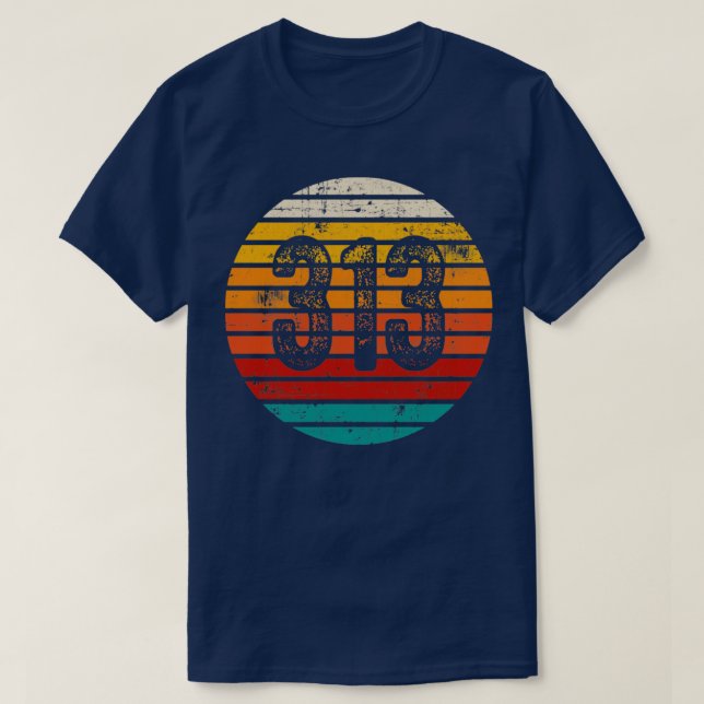 Distressed Vintage Sunset 313 Area Code T-Shirt (Design Front)