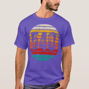 Distressed Vintage Sunset 540 Area Code T-Shirt