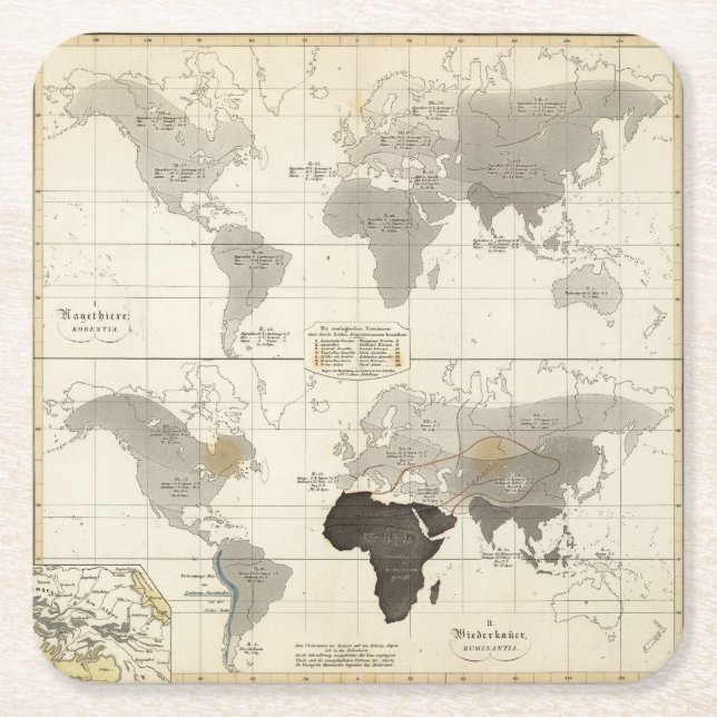 Distribution of rodents and animals square paper coaster (Front)