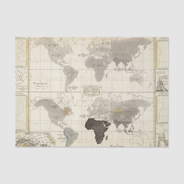Distribution of rodents and animals tissue paper (Front)
