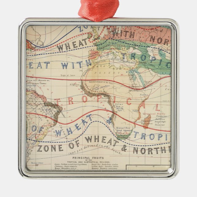 Distribution plants metal tree decoration (Front)