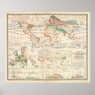 Distribution plants poster