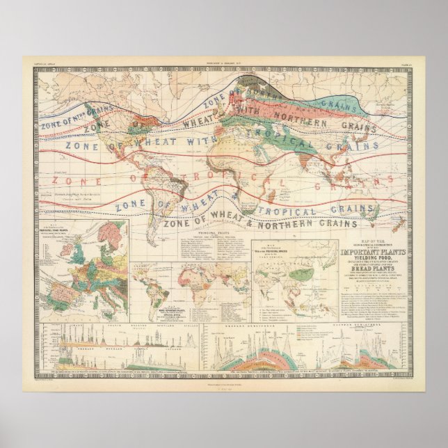 Distribution plants poster (Front)