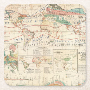 Distribution plants square paper coaster