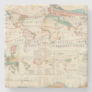 Distribution plants stone coaster