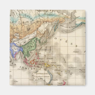 Distribution primitive du genre humain magnet