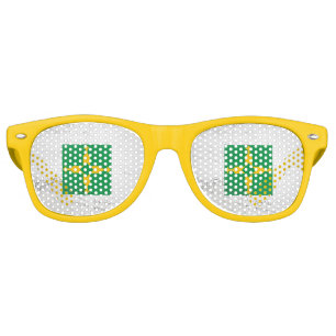 Distrito Federal Retro Sunglasses