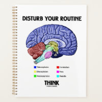 Disturb Your Routine Think Brain Anatomy Advice