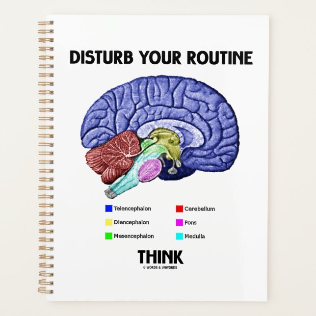 Disturb Your Routine Think Brain Anatomy Advice Planner (Front)