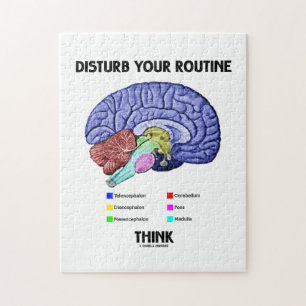 Disturb Your Routine Think (Brain Anatomy) Jigsaw Puzzle