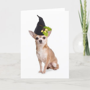 Ditzy Dogs~Original Greetomg Card~Chihuahua Card