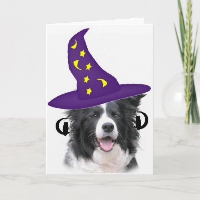 Ditzy Dogs~Original Notecard~Border Collie Card (Front)