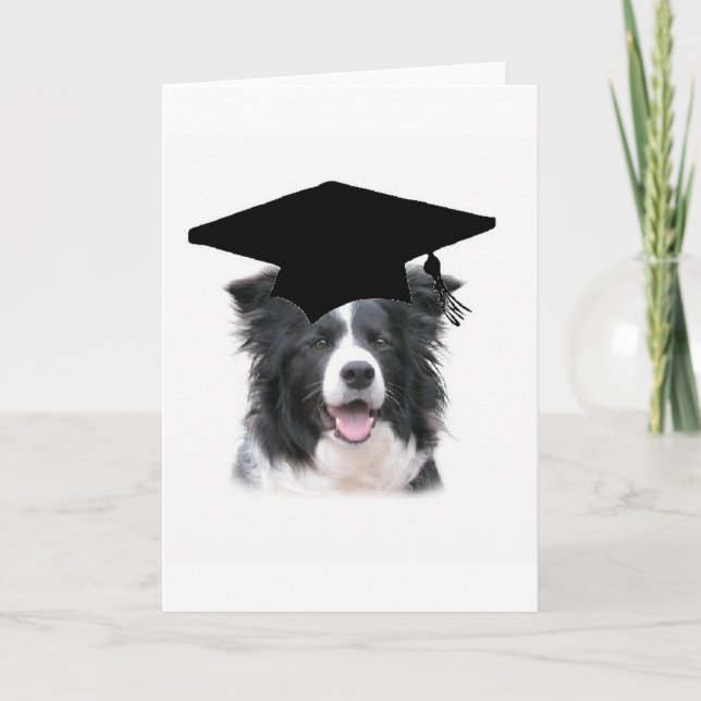 Ditzy Dogs~Original Notecard~Border Collie Card (Front)
