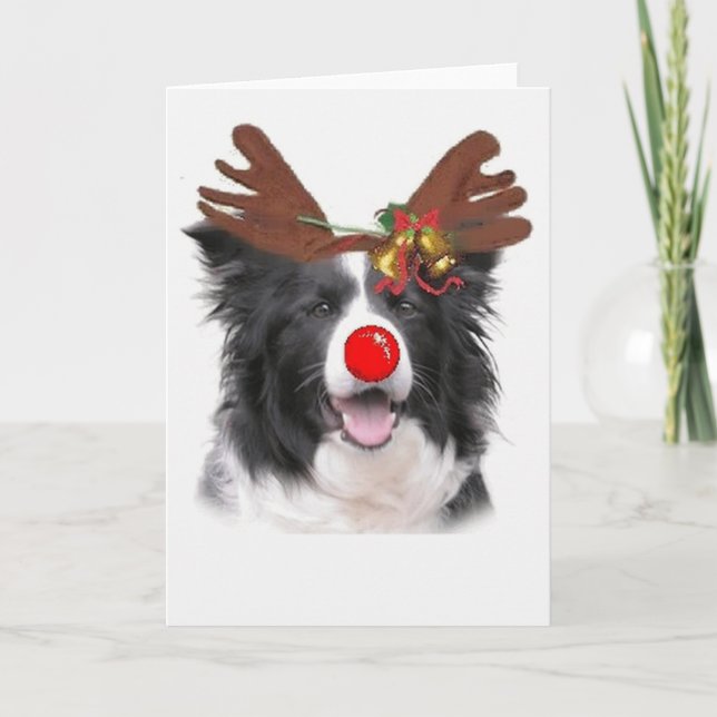 Ditzy Dogs~Original Notecard~Border Collie Holiday Card (Front)