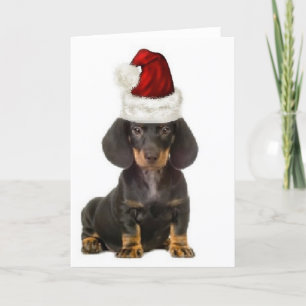 Ditzy Dogs~Original Notecard~Dachshund Card