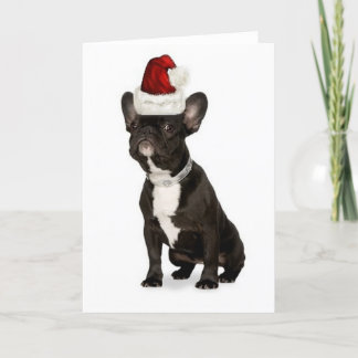 Ditzy Dogs~Original Notecard~French Bulldog Holiday Card