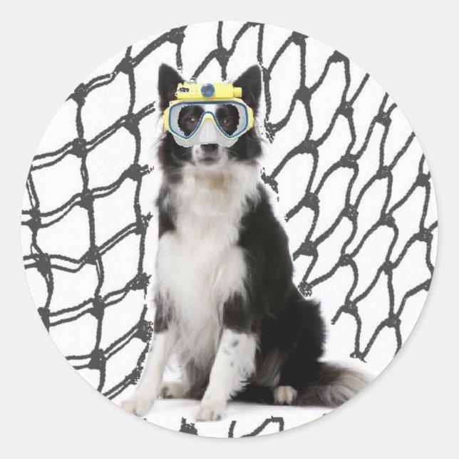 Ditzy Dogs~Original Sticker~Border Collie Classic Round Sticker (Front)