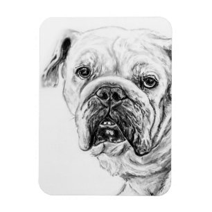 DIVA Blossom Flexible Magnet