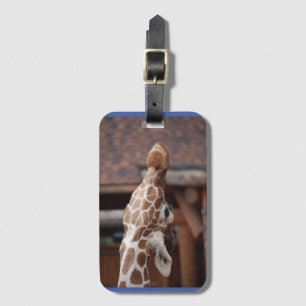 Diva Luggage Tag #1