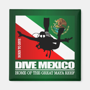 Dive Mexico DF2 Magnet